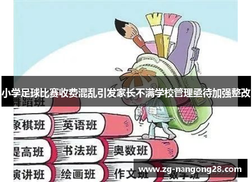 小学足球比赛收费混乱引发家长不满学校管理亟待加强整改